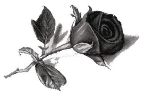 roza nekrolog